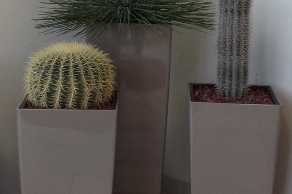 ambientazioni-vasi-cactus