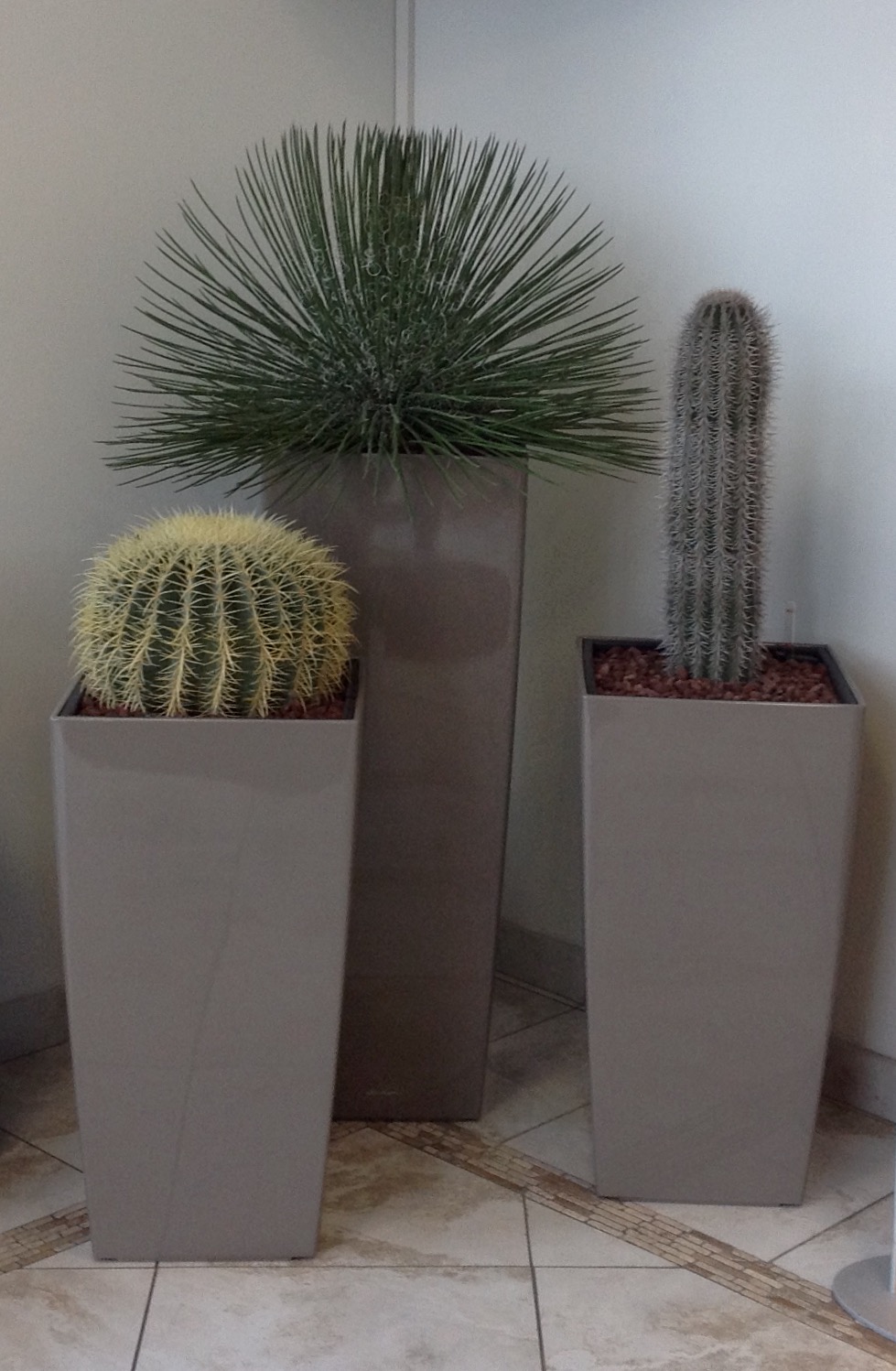ambientazioni-vasi-cactus