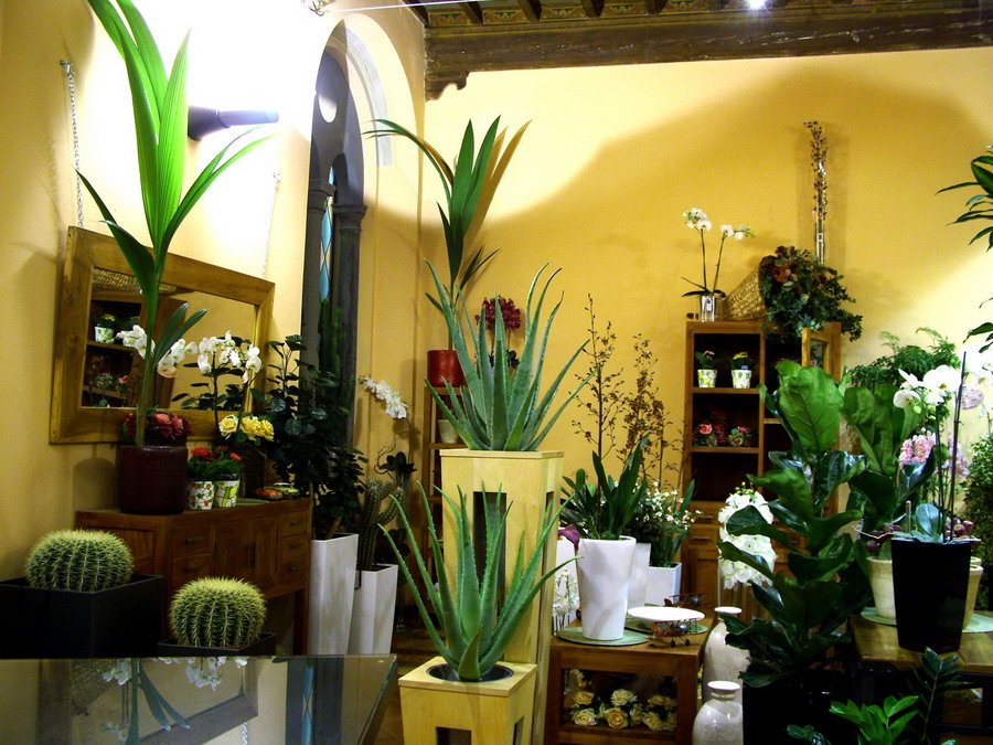 vogliadiverde-san-giovanni-valdarno1