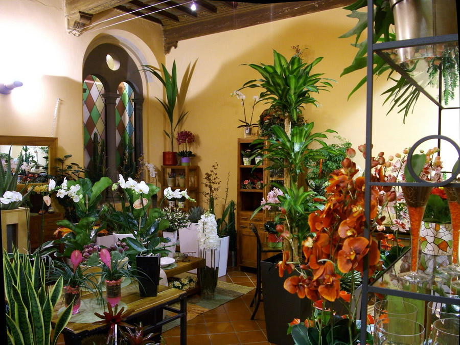 vogliadiverde-san-giovanni-valdarno9